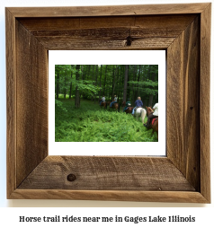 horse trail rides near me in Gages Lake, Illinois